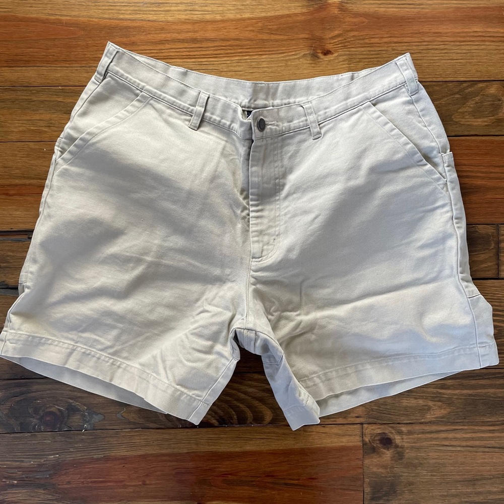 Patagonia Stand Up Shorts 38